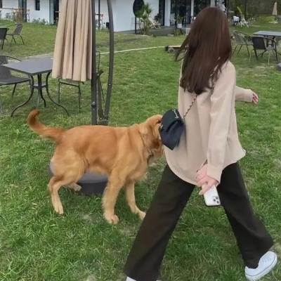 靛蓝色的心情
